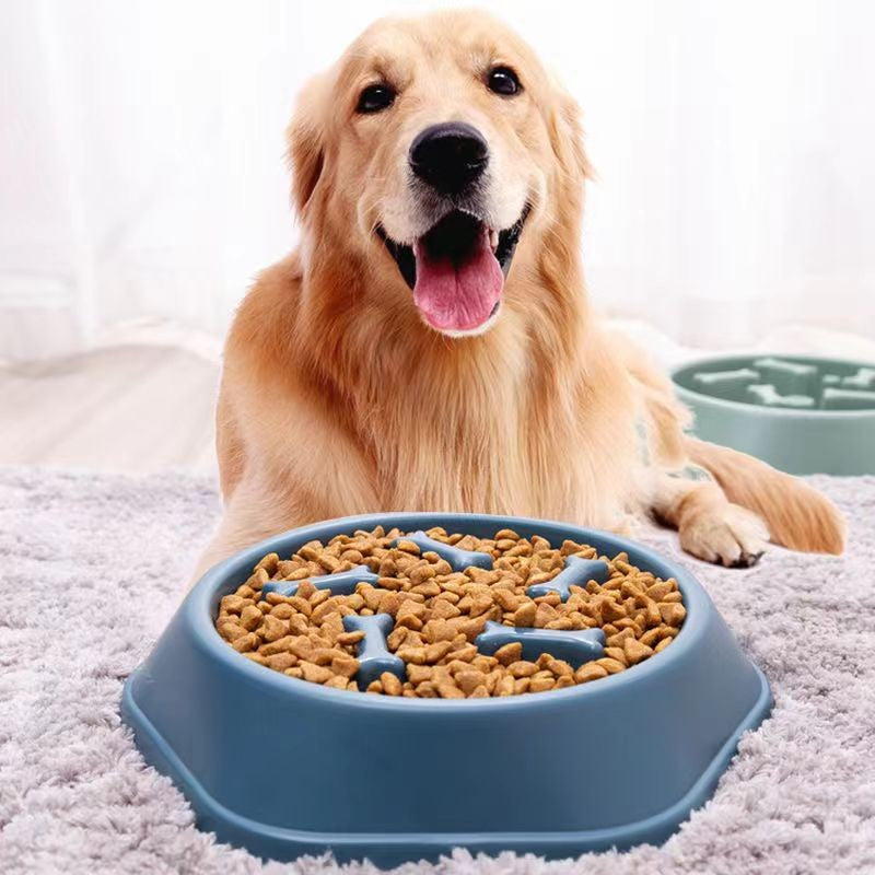 Alimentador lento para cães, tigela anti-asfixia para comida de cachorro, antiderrapante